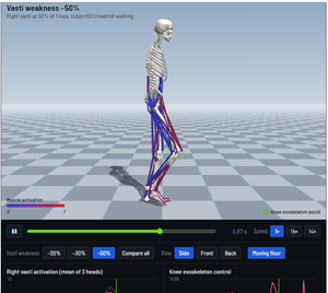 Interactive Gait Viewer: Vasti Weakness & Knee Exoskeleton Assist